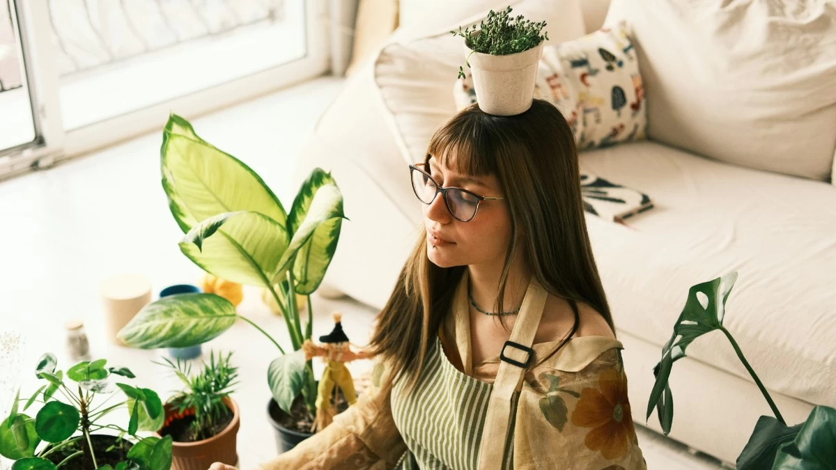 Αυτό το φυτό το χρειάζονται οι γεροντοκόρες - Το Feng Shui λέει πως βοηθάει να βρεις σύντροφο