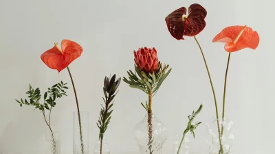 Κουνούπια τέλος: Με αυτά τα πέντε φυτά θα τα κρατήσεις μακριά από τον κήπο ή την βεράντα σου