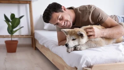 IKEA: Με αυτό το αντικείμενο στο υπνοδωμάτιο κάθε άντρας θα αναβαθμίσει το στυλ του - Η τέλεια ιδέα με 27 ευρώ