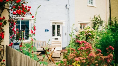 Το ένα μπορεί να προκαλέσει εγκεφαλική νάρκη και το άλλο καρδιακή δυσλειτουργία - Τα δυο επικίνδυνα φυτά που μπορεί να έχετε σπίτι σας