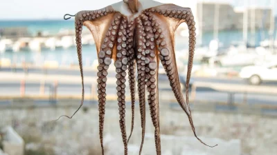 Πώς να καθαρίσεις σωστά το χταπόδι: Τα μυστικά της Αργυρώς - Απαγορεύεται να το βουτήξεις σε...