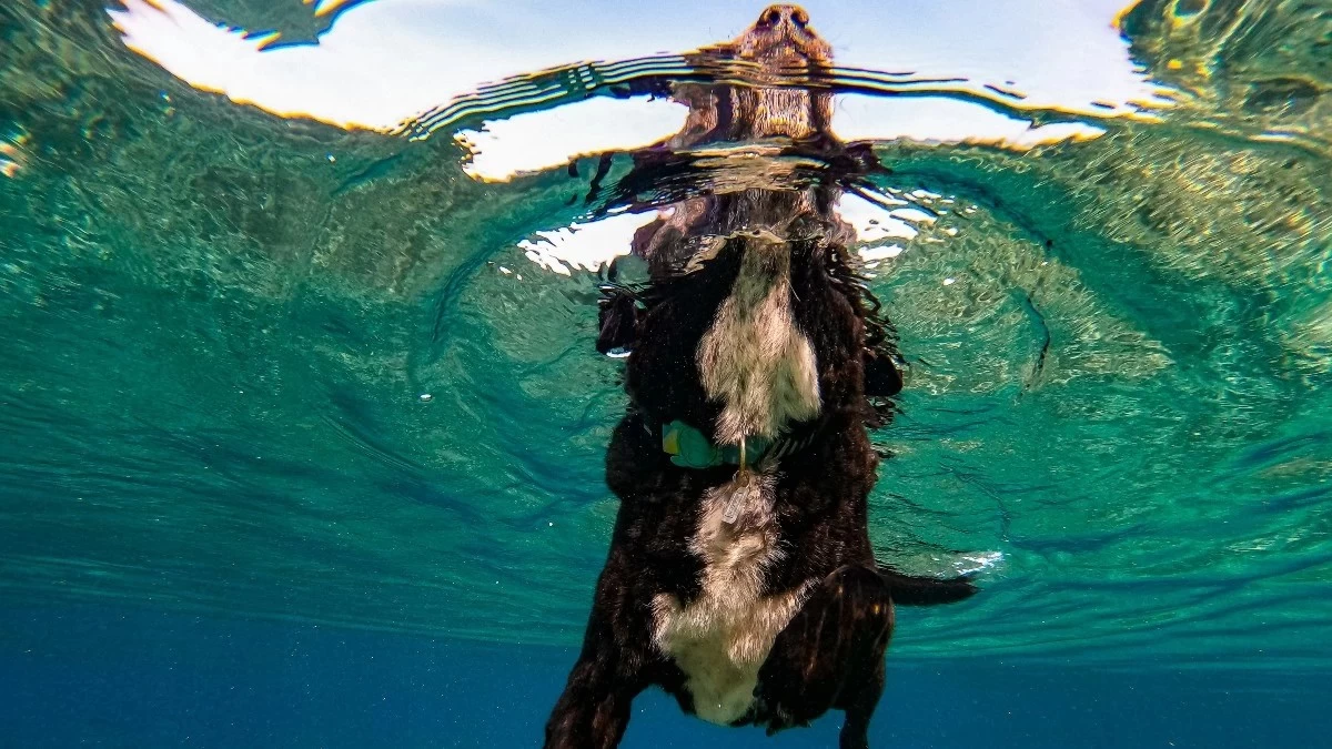 Ζώδια: Τι μας περιμένει σήμερα, Τρίτη 30 Ιουλίου