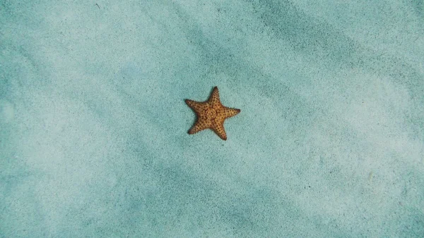 Ζώδια: Τι μας περιμένει σήμερα, Σάββατο 20 Ιουλίου