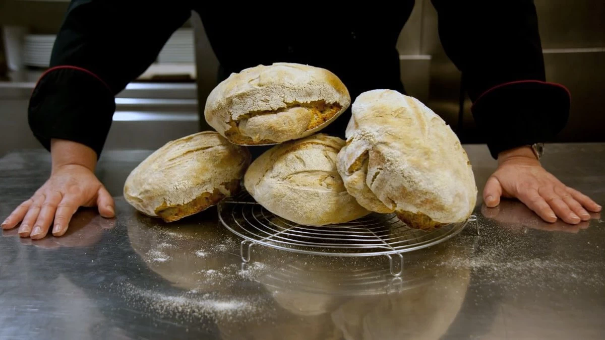 Οι 12 λόγοι που δεν φουσκώνει το ψωμί - Τα λάθη που κάνετε όλοι στο ζύμωμα