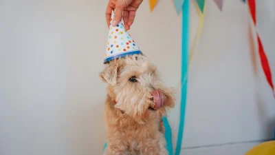 Εορτολόγιο: Ποιοι γιορτάζουν σήμερα, Πέμπτη 1 Αυγούστου