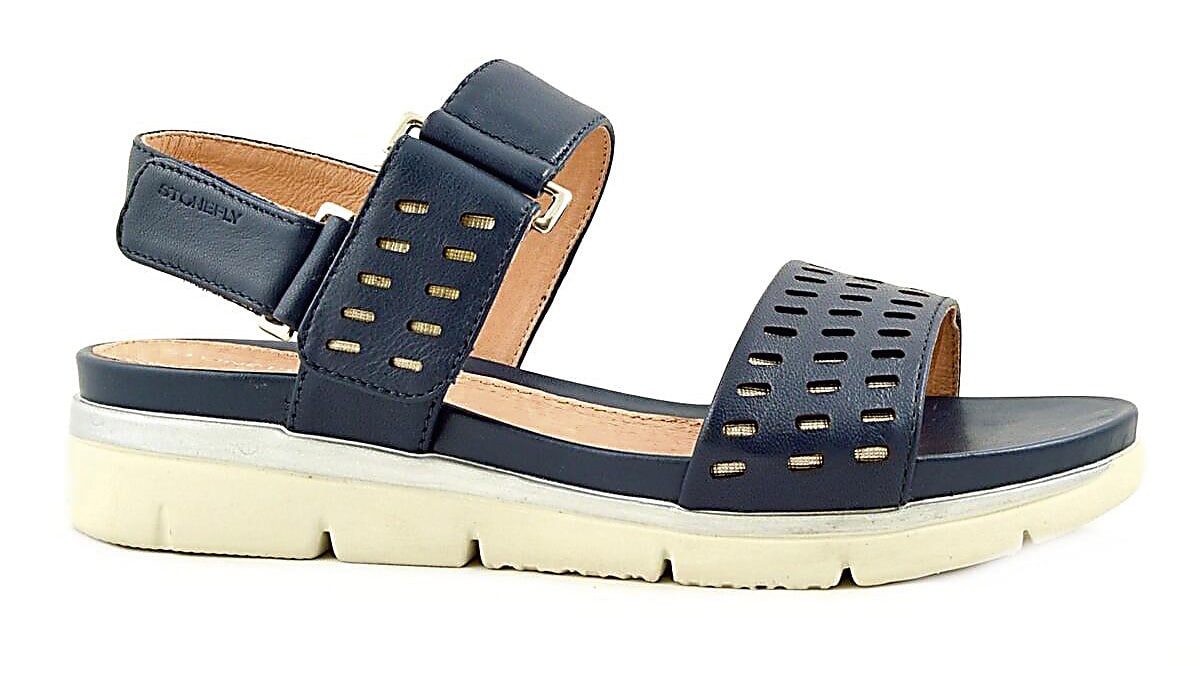 ΔΕΡΜΑΤΙΝΑ ΠΕΔΙΛΑ, STONEFLY