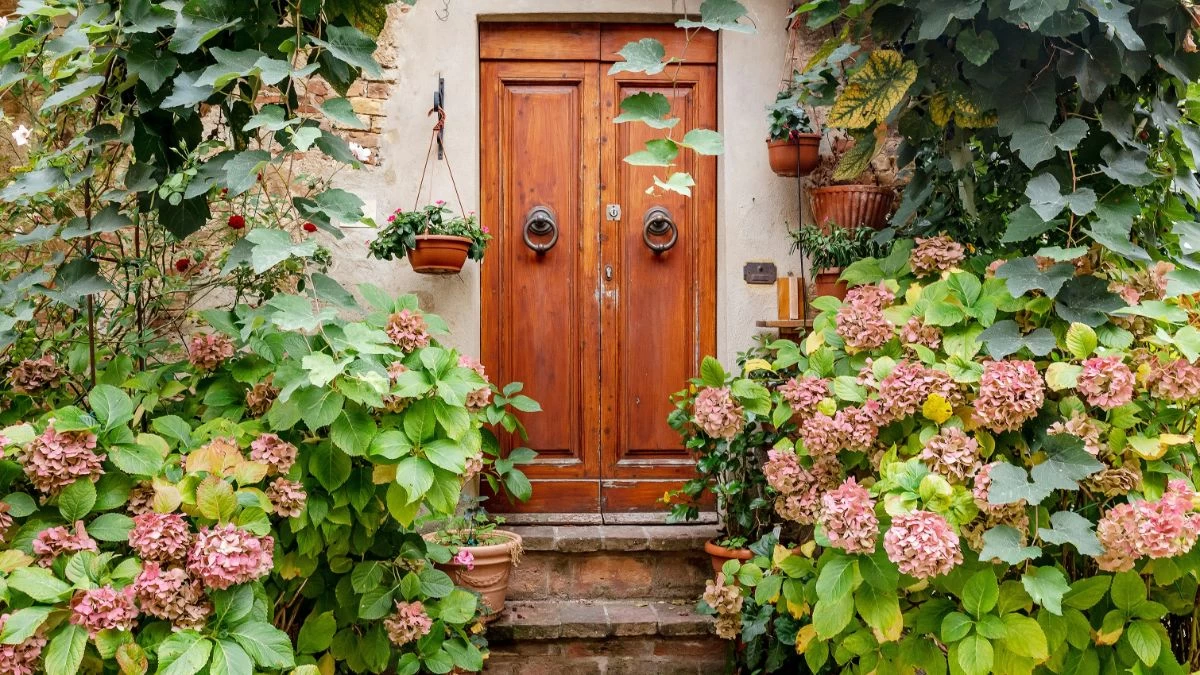 Αυτό είναι το χειρότερο φυτό για το σπίτι σου - Απαγορεύεται ακόμα και στο μπαλκόνι