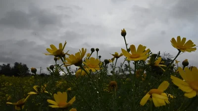 Καιρός σήμερα 19/8: Αλλαγή σκηνικού - Έρχονται βροχές