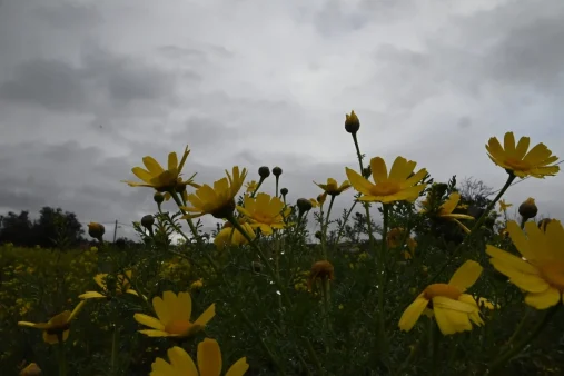 Καιρός σήμερα 19/8: Αλλαγή σκηνικού - Έρχονται βροχές