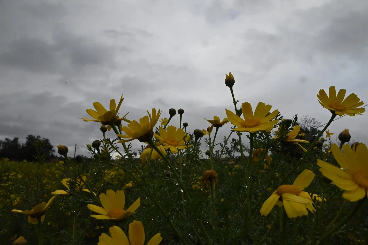 Καιρός σήμερα 19/8: Αλλαγή σκηνικού - Έρχονται βροχές