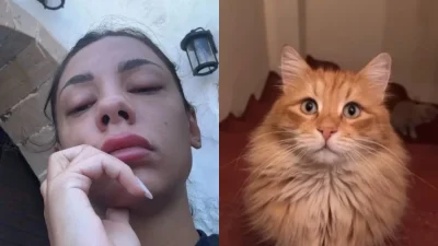 Συντετριμμένη η Μαριαλένα Ρουμελιώτη: Η ανάρτηση με το νεκρό γάτο της - «Θα μου λείψεις άπειρα αγγελούδι μου!»