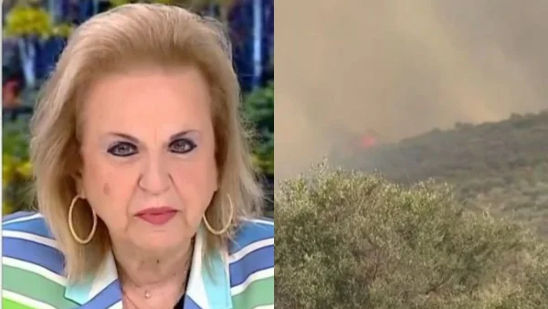 Φωτιά Αττική – Προειδοποιεί η Παγώνη: «Κλειστά τα πάντα, η κυκλοφορία έξω είναι ό,τι χειρότερο»