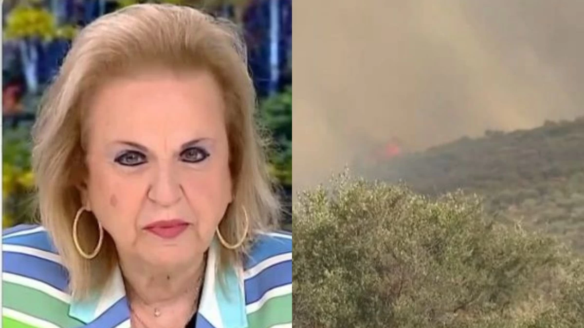 Φωτιά Αττική – Προειδοποιεί η Παγώνη: «Κλειστά τα πάντα, η κυκλοφορία έξω είναι ό,τι χειρότερο»