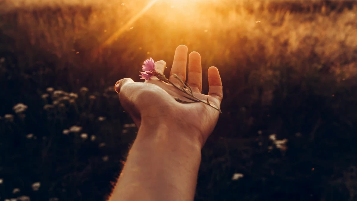 Νέα Σελήνη στις 03/09: «Αναγεννησιακός» ο Σεπτέμβρης 2024 γι' αυτό το ένα ζώδιο!