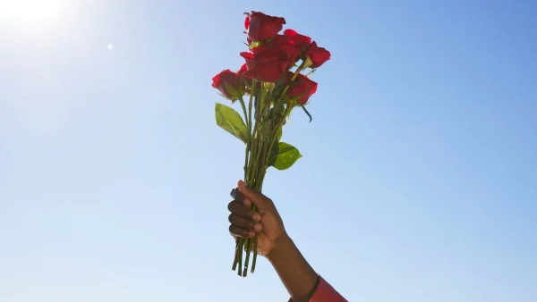 Ζώδια σήμερα 27/8: Το όνειρά σας θα γίνουν πραγματικότητα