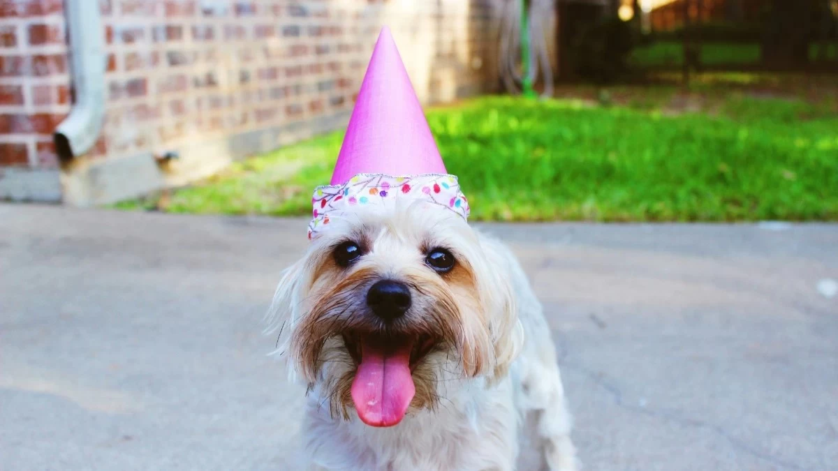 Εορτολόγιο: Ποιοι γιορτάζουν σήμερα, Πέμπτη 5 Σεπτεμβρίου