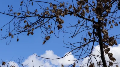 Καιρός 25/9: Τοπικές βροχές και πιθανώς μεμονωμένες καταιγίδες - Σε ποιες περιοχές