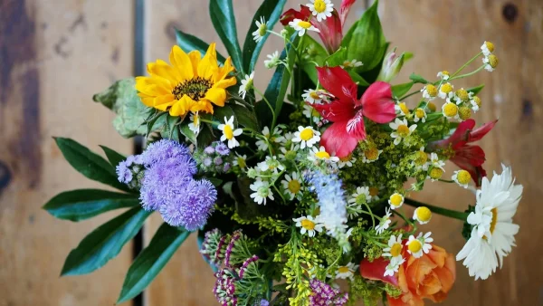 Εορτολόγιο: Ποιοι γιορτάζουν σήμερα, Τρίτη 17 Σεπτεμβρίου