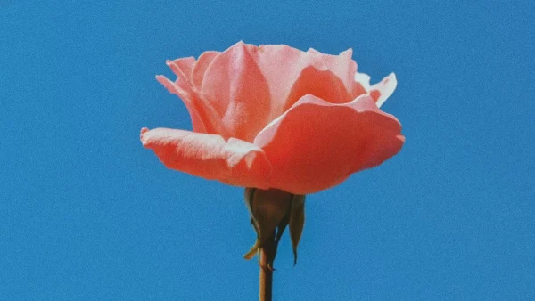 Ζώδια: Τι μας περιμένει σήμερα,  Τρίτη 10 Σεπτεμβρίου