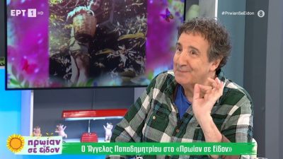 Ο Άγγελος Παπαδημητρίου στο "Πρωίαν σε είδον"