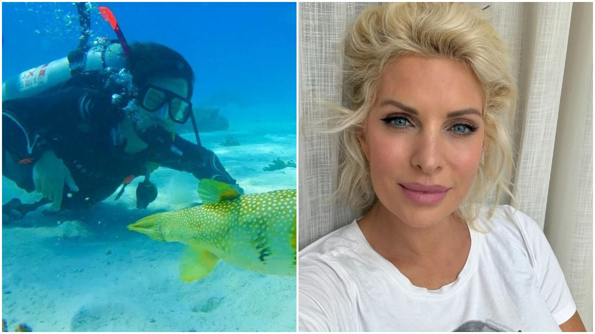 Ο Άγγελος Λάτσιος έκανε κατάδυση στην Ερυθρά Θάλασσα και η Ελένη Μενεγάκη σχολίασε
