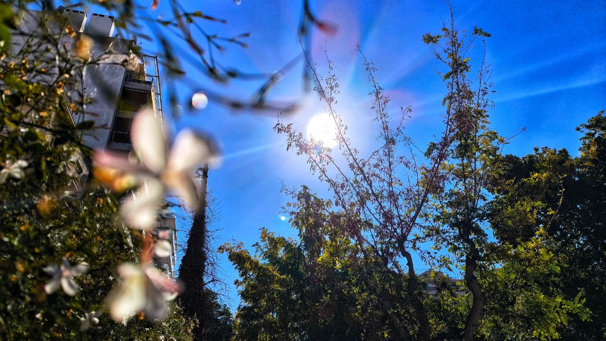 Ο ουρανός ο ήλιος και λουλούδια