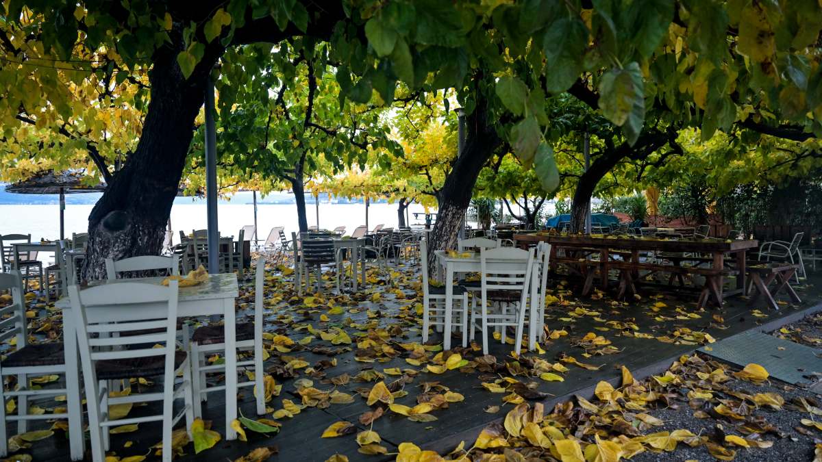 Φύλλα που πέφτουν στο πάρκο