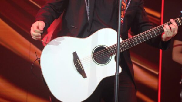 Ο Νίκος Απέργης σε συναυλία.