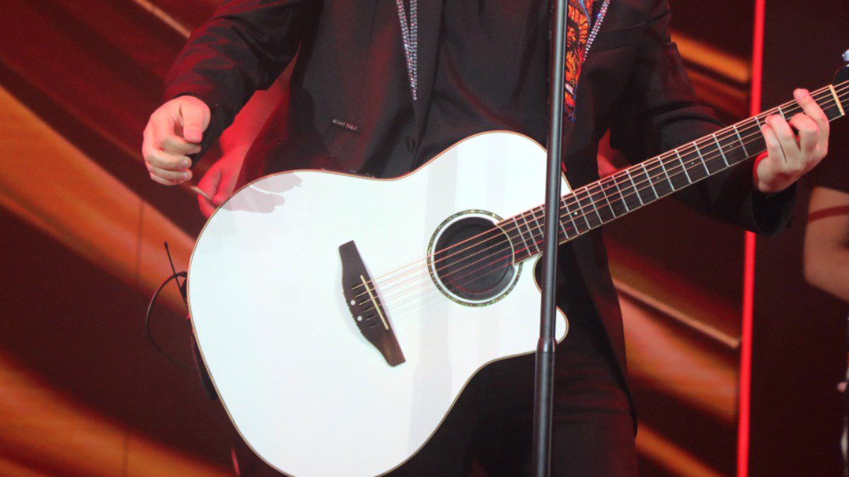 Ο Νίκος Απέργης σε συναυλία.