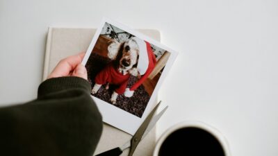 Ένα σκύλος σε φωτογραφία