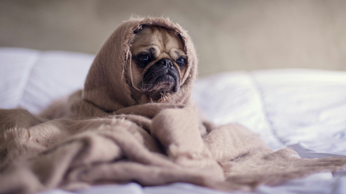 Εορτολόγιο