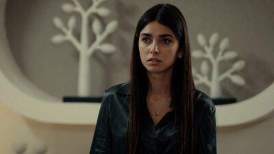 Γη της ελιάς Βασιλική