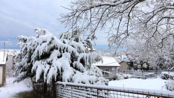 Χιονισμένη περιοχή