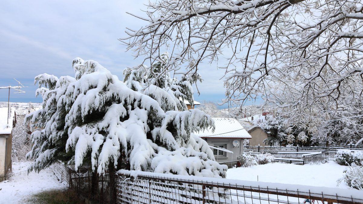 Χιονισμένη περιοχή