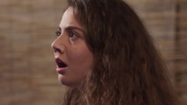 Γη της ελιάς Άννα