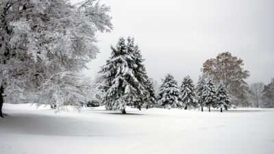 Μερομήνια χιόνια