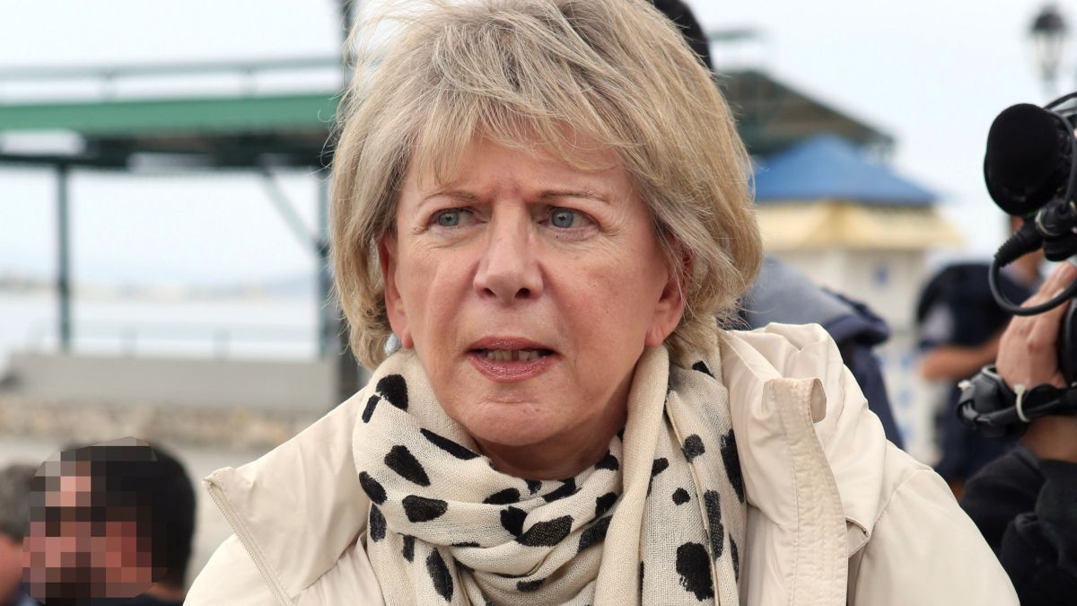 Η Έλενα Ακρίτσα σε δημόσια εμφάνισή τς