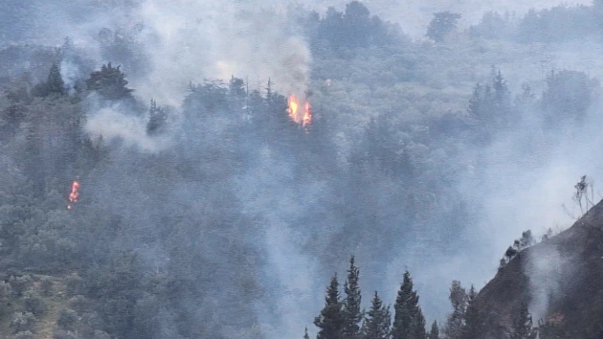 Φωτιά σε δάσος στην κρήτη
