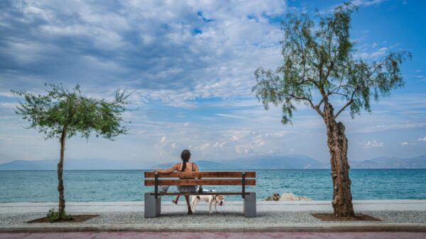 Ξυλόκαστρο