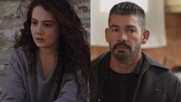 Γη της ελιάς Άννα Αποστόλης