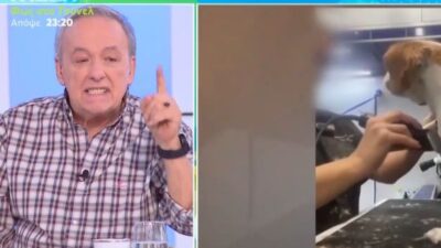 "Εξερράγη" ο Ανδρέας Μικρούτσικος: «Θα της κάνω μήνυση! Αυτές είναι σκηνές άγριων βασανιστηρίων»