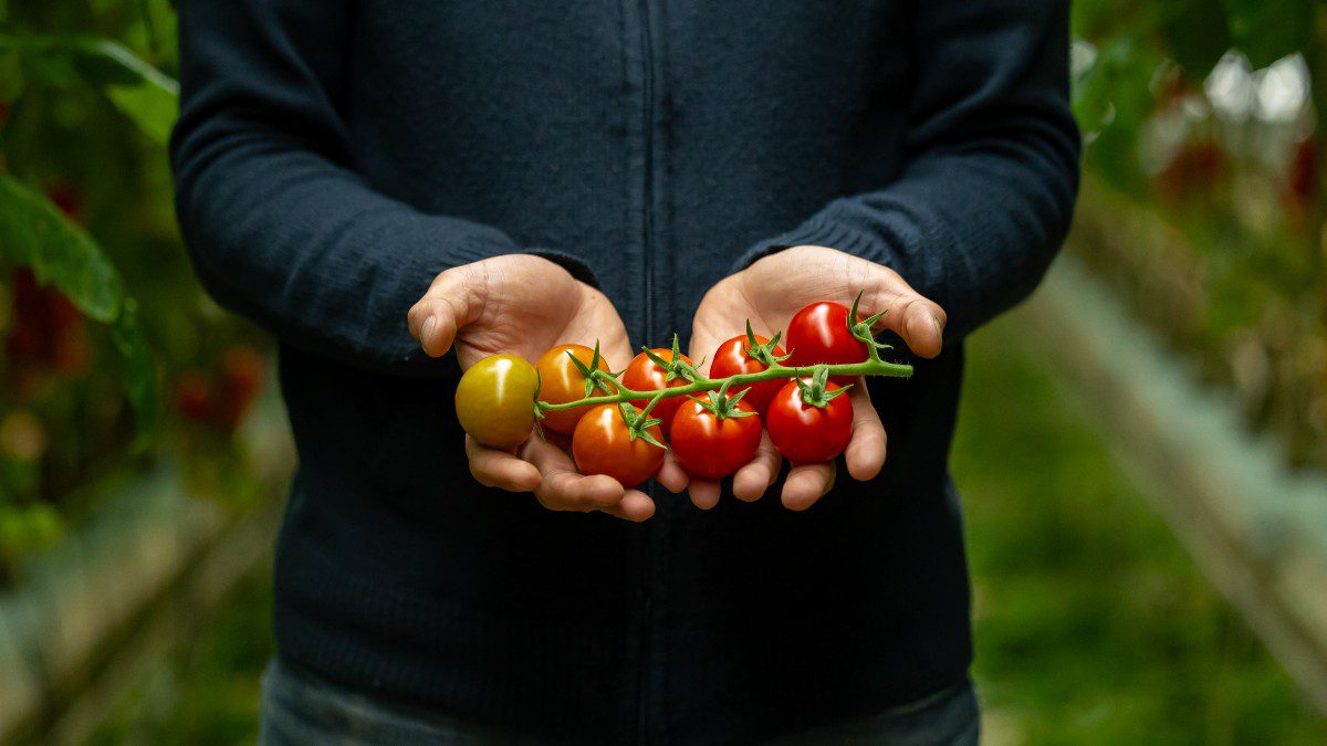 ΑΒ Βασιλόπουλος Δέσμευση στην ποιότητα