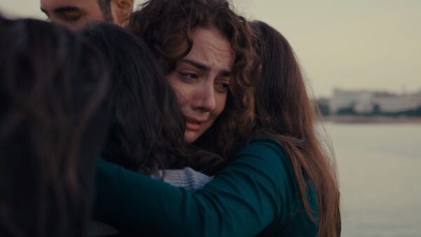 Γη της ελιάς Άννα