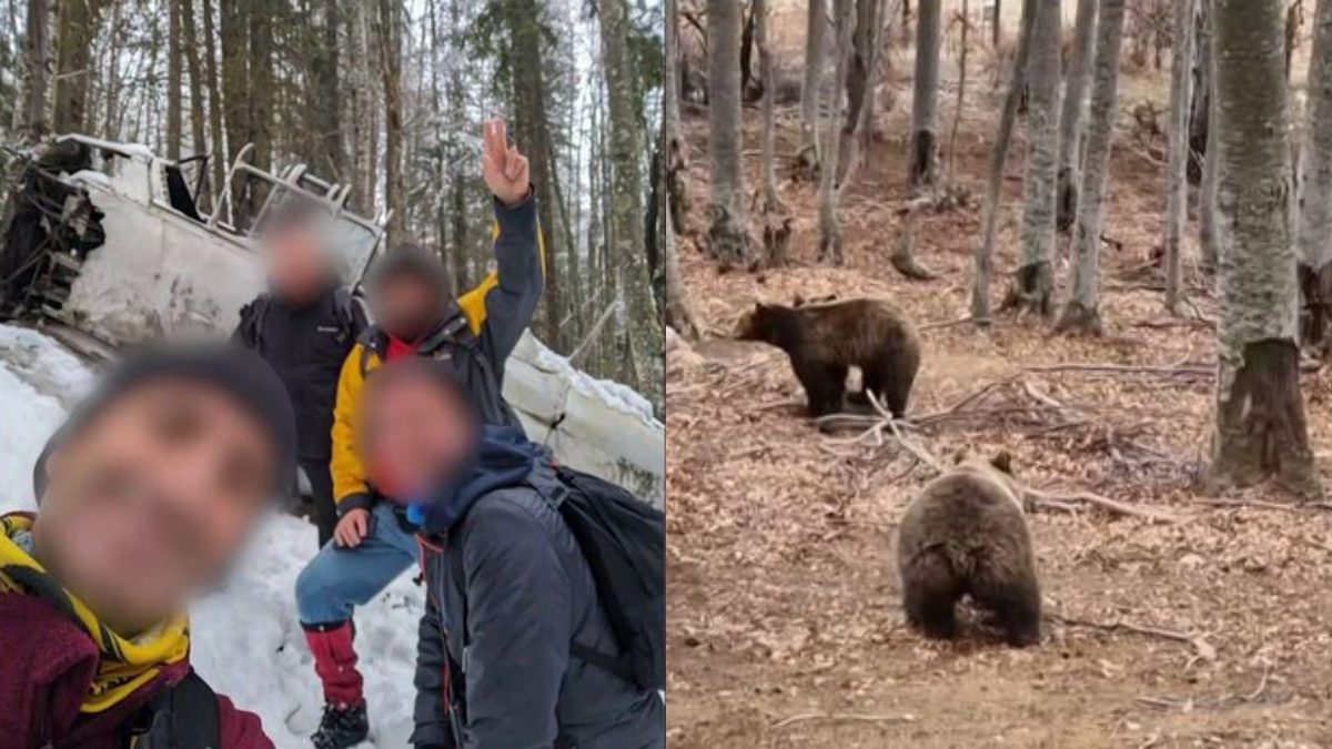 Ο ορειβάτης που δέχθηκε επίθεση από αρκούδα στη Δράμα