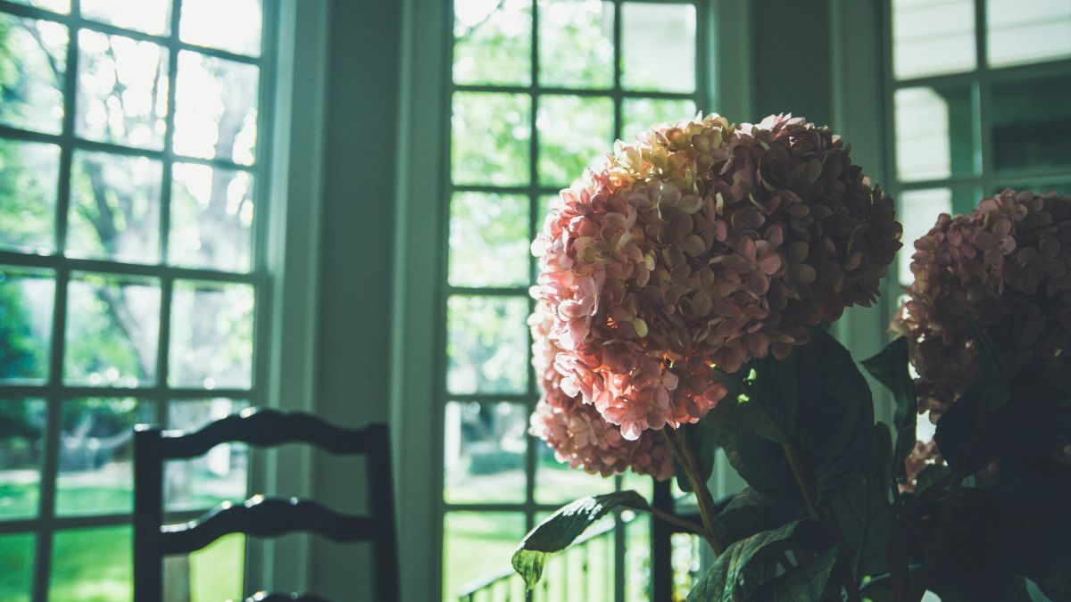 Ένα μπουκέτο λουλούδια