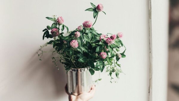 Γλάστρα με λουλούδια