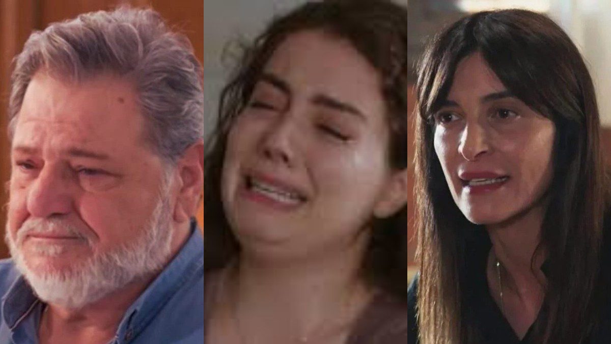 Η γη της ελιάς MEGA