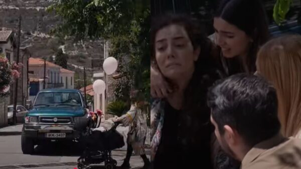 Η γη της ελιάς MEGA