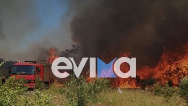 Φωτιά στο Αλιβέρι Ευβοίας