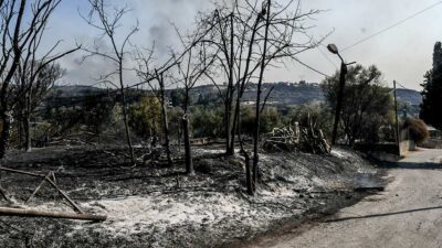 Φωτιά Αχαΐα